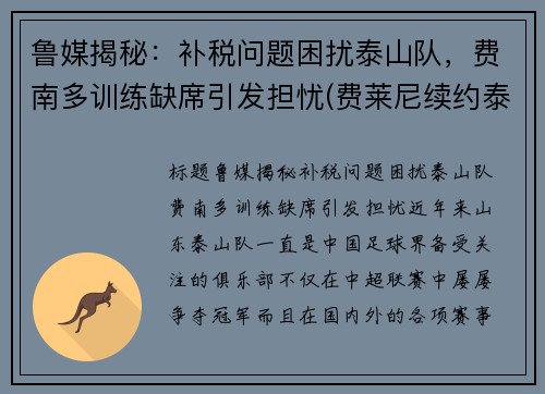 鲁媒揭秘：补税问题困扰泰山队，费南多训练缺席引发担忧(费莱尼续约泰山)