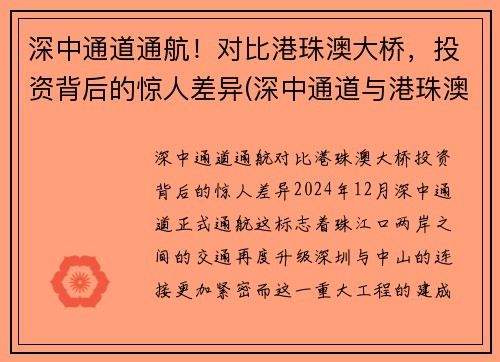 深中通道通航！对比港珠澳大桥，投资背后的惊人差异(深中通道与港珠澳大桥意义大比拼)